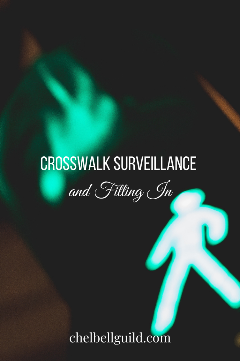 Crosswalk Surveillance & Fitting In