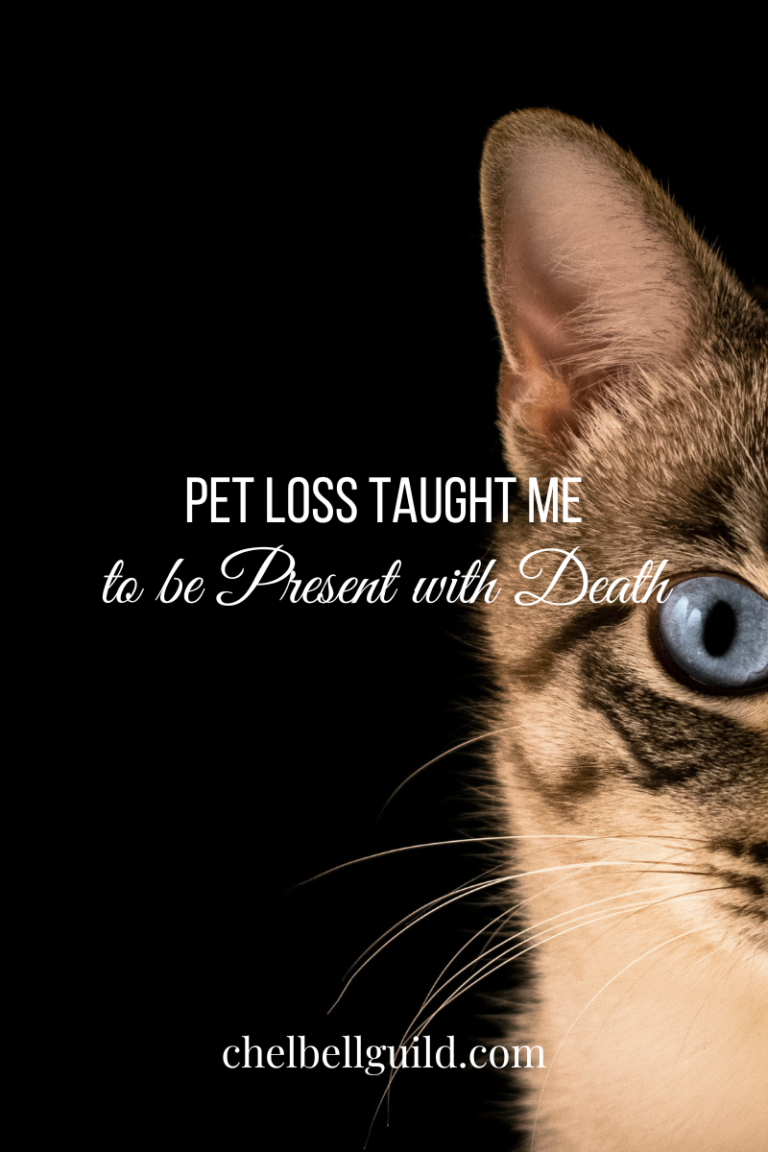 Pet Loss Taught Me to be Present with Death